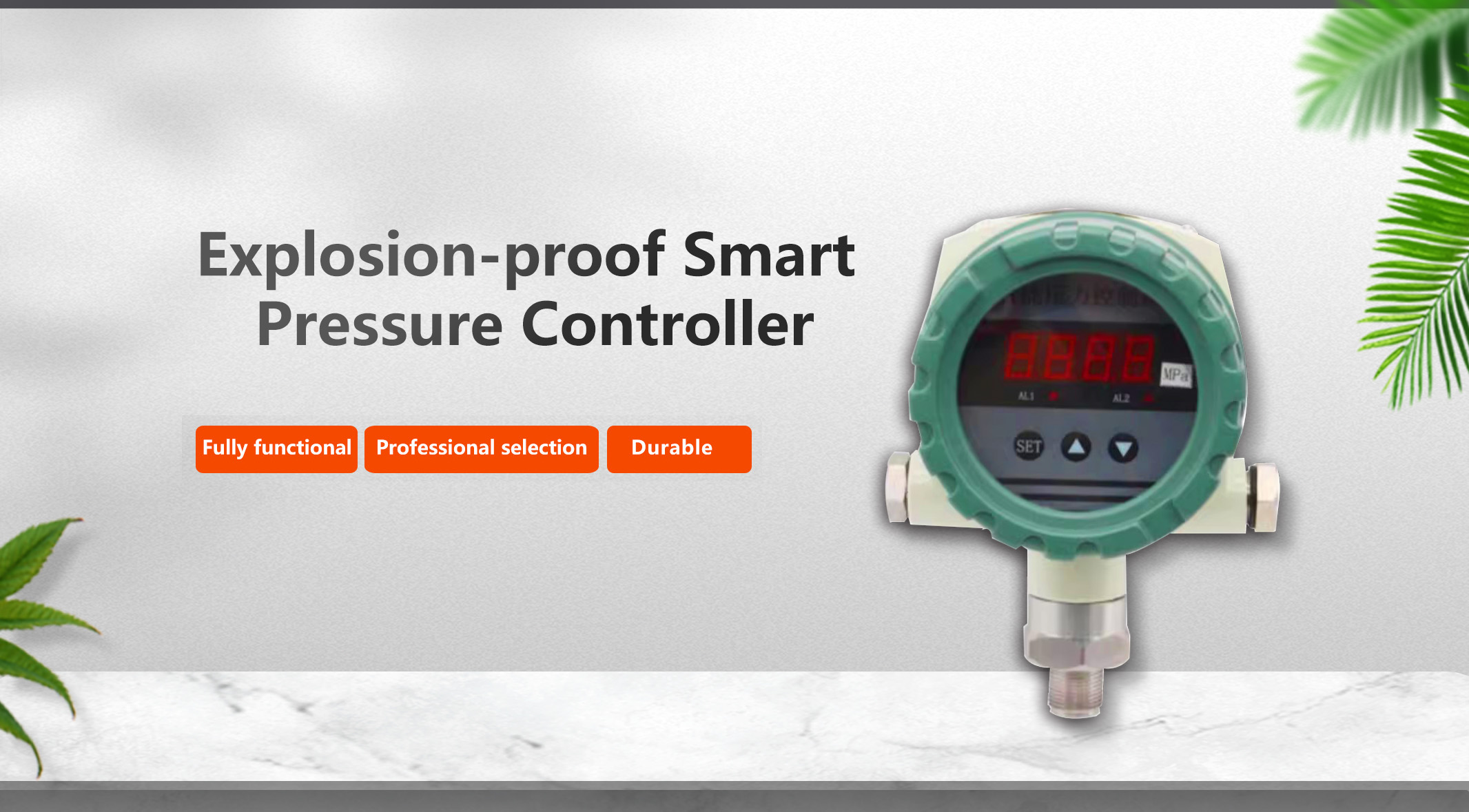 1766736553196423.jpg 智能压力控制器(防爆型).jpg