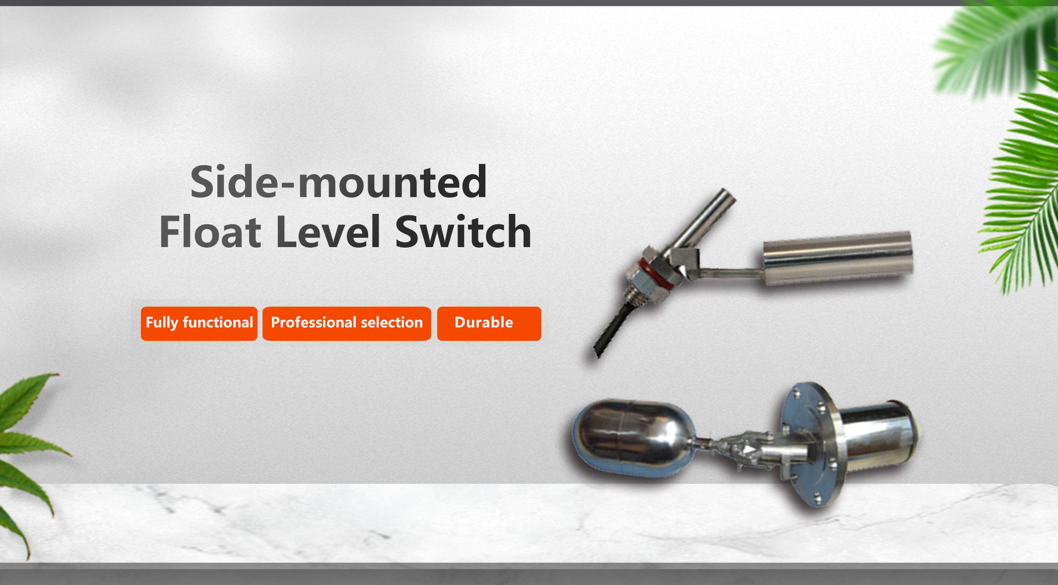 1766980762212219.jpg 侧装浮液开关.jpg